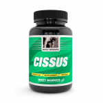 Cissus