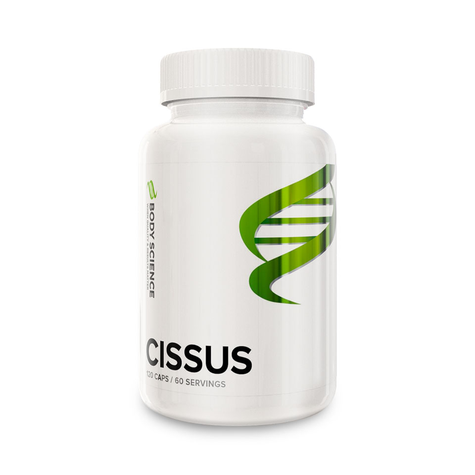 Cissus