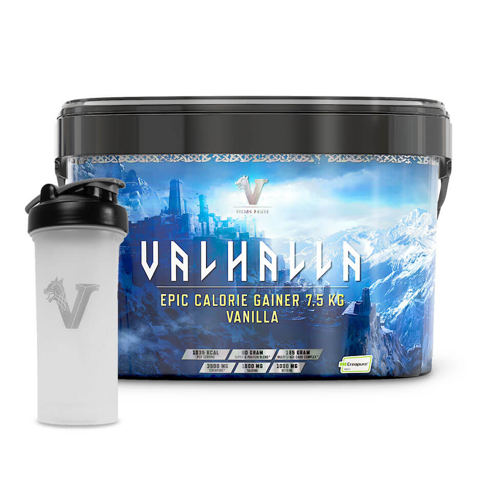 Gainer Valhalla + Viking Shaker 1300ml