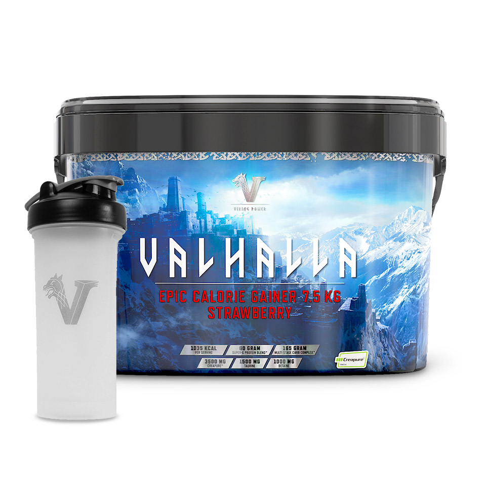 Gainer Valhalla + Viking Shaker 1300ml